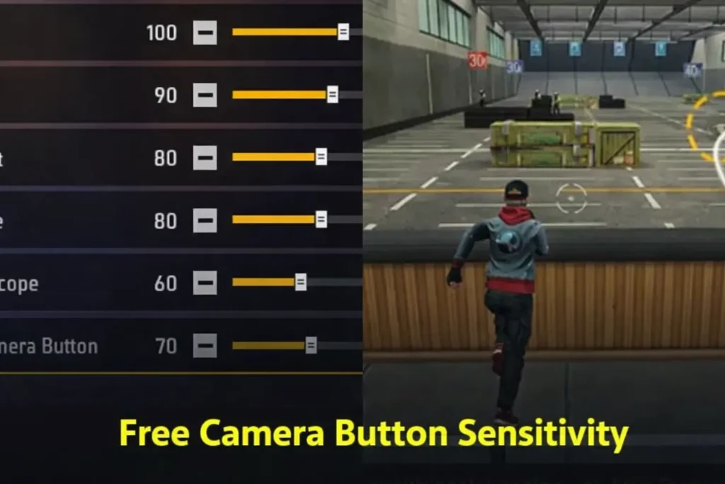 Free Camera Button Sensitivity